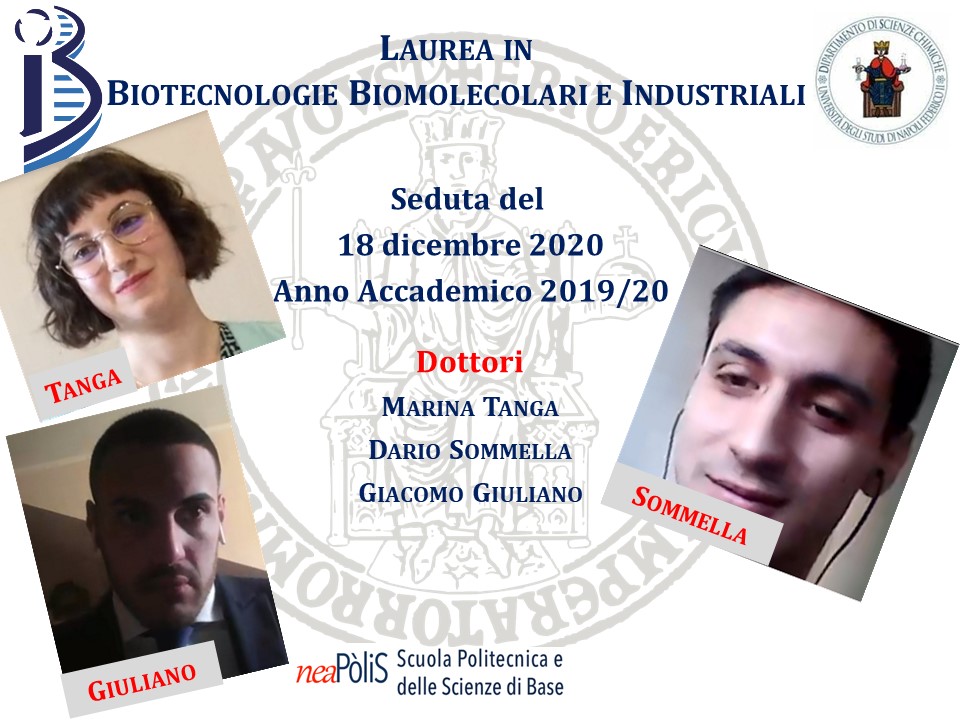 Laurea 2020 12 18